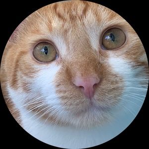 Meet your Posher, Rosalyn